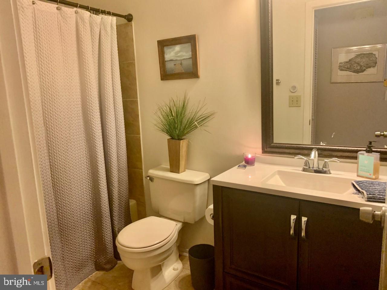 11703 E Summerchase Circle Reston, VA 20194 - Photo 15 of 16 Bath (Master)