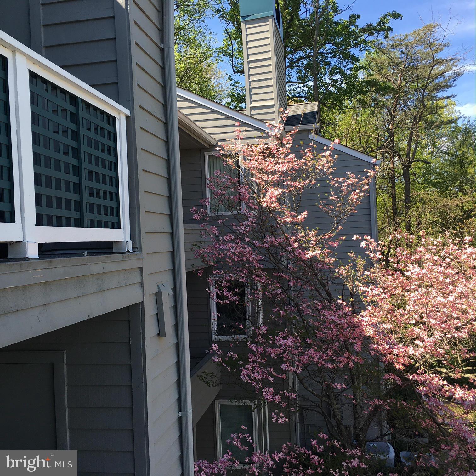 11703 E Summerchase Circle Reston, VA 20194 - Photo 4 of 16 BALCONY