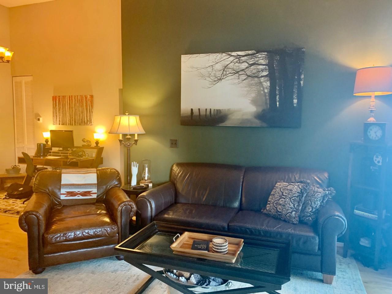 11703 E Summerchase Circle Reston, VA 20194 - Photo 8 of 16 Living room