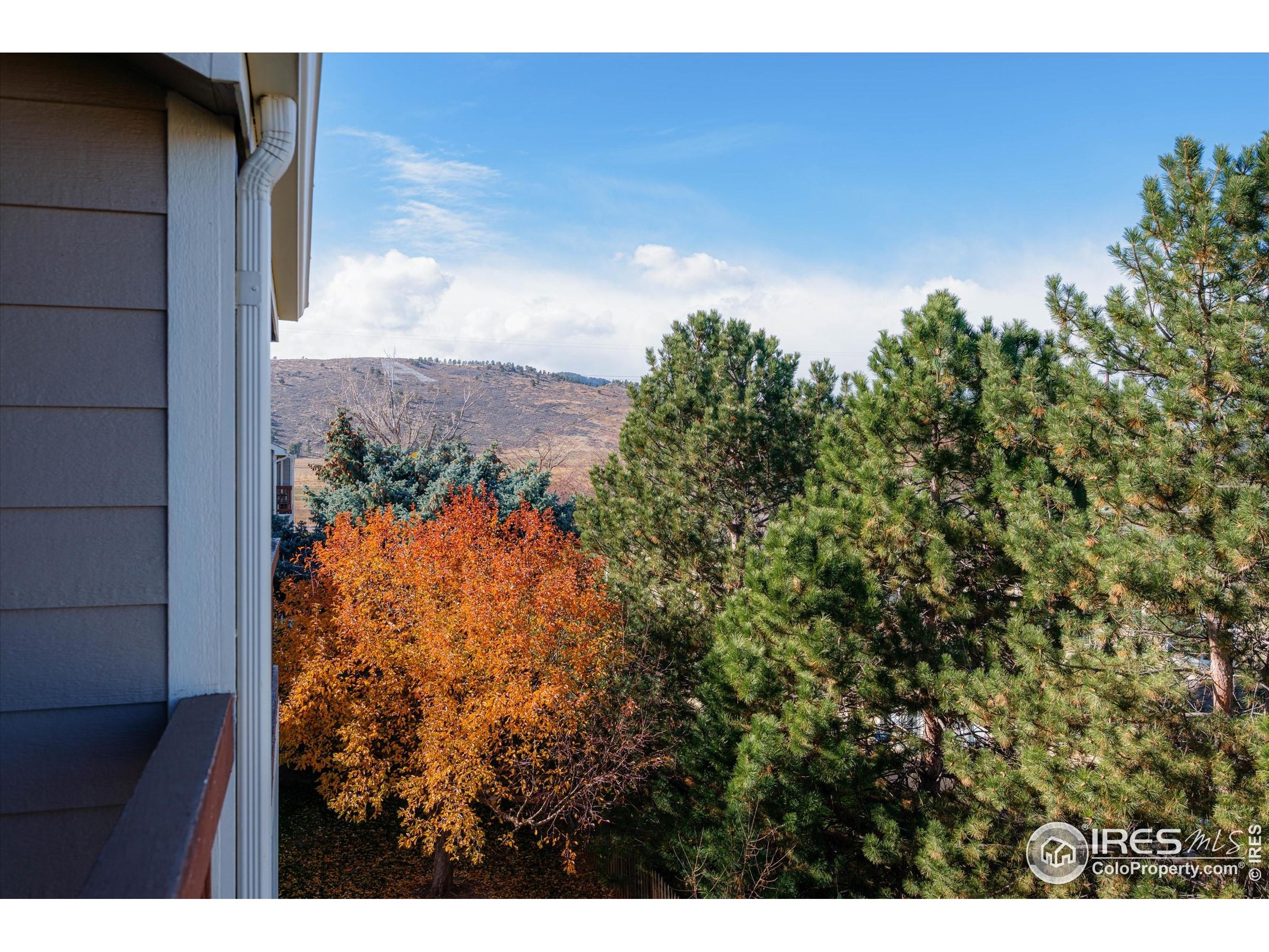 2960 West Stuart Street, Unit 304 Fort Collins, CO 80526 - Photo 19 of 28 a view of a yard