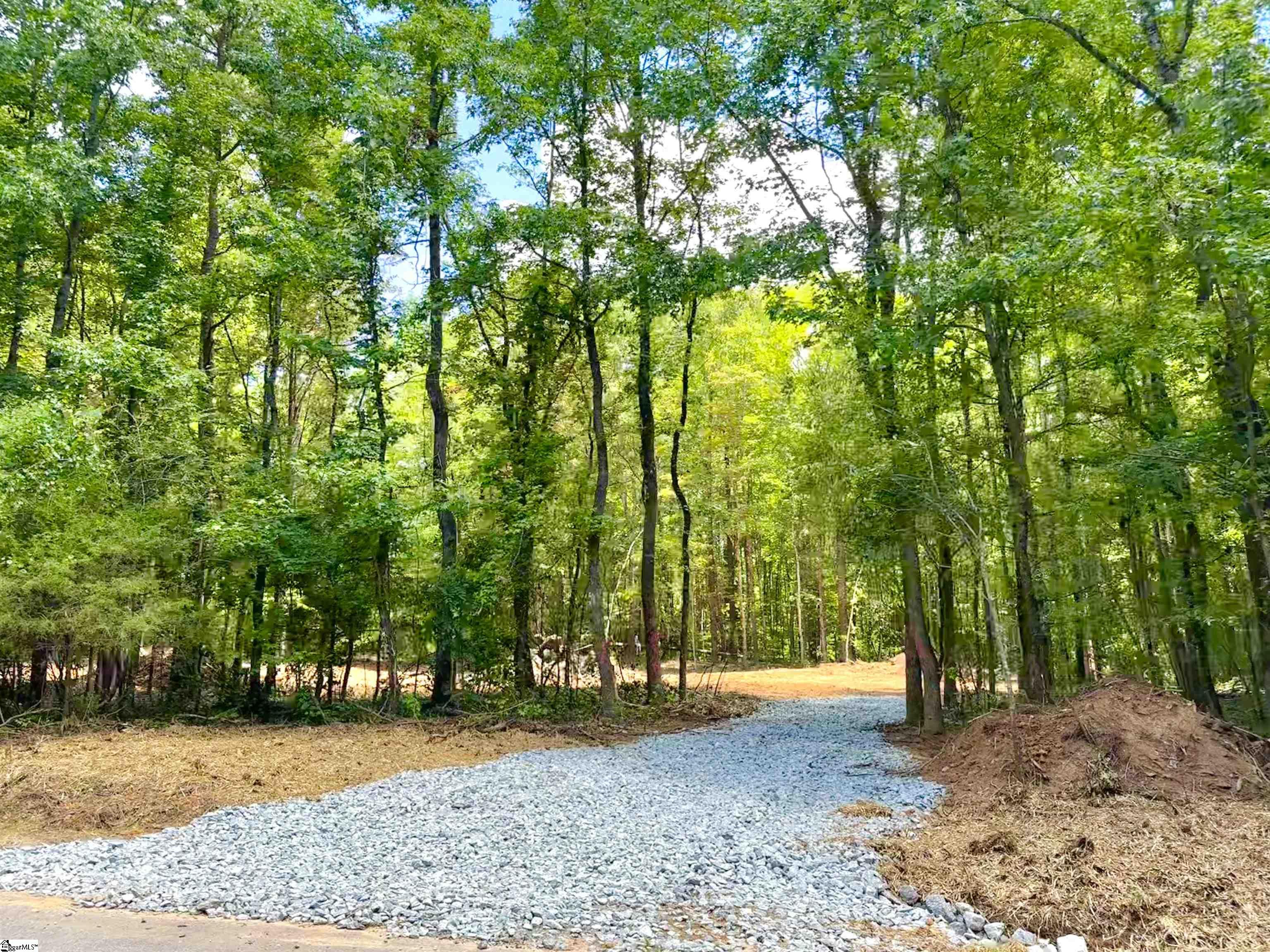 0 Peden Road Fountain Inn, SC 29644 - Photo 2 of 7