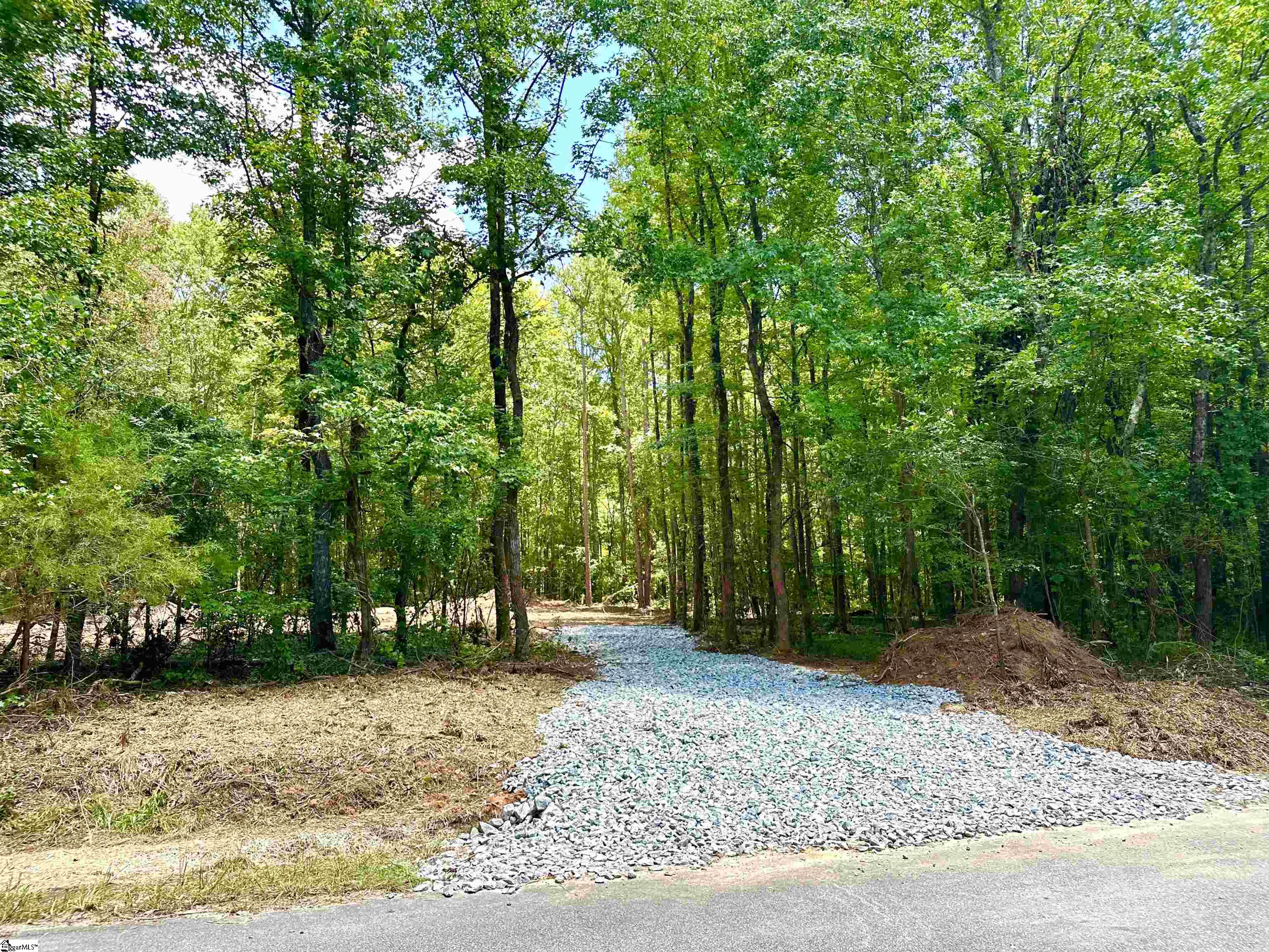 0 Peden Road Fountain Inn, SC 29644 - Photo 3 of 7