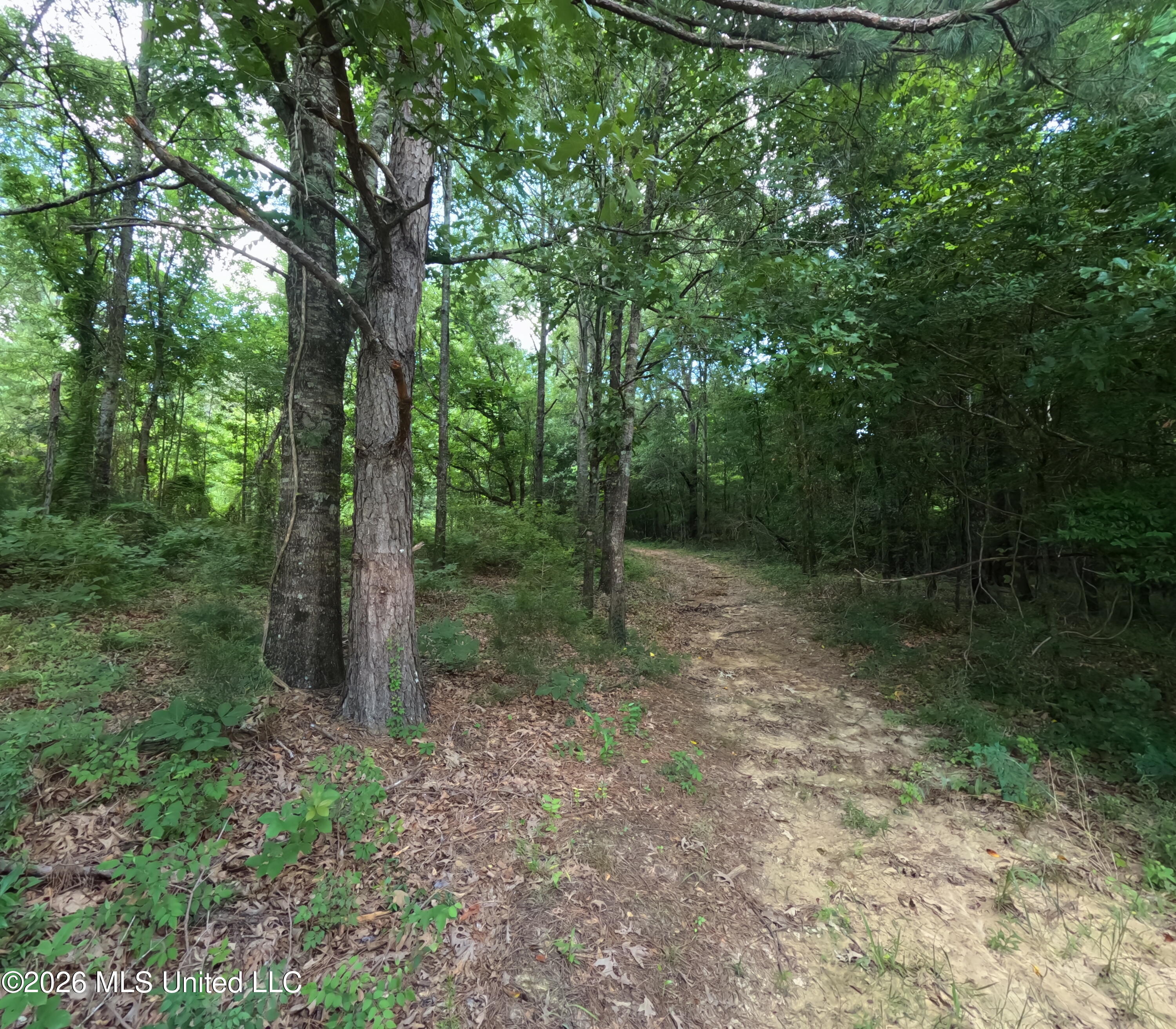 Old Port Edwards, MS 39066 - Photo 35 of 65 GOPR2225