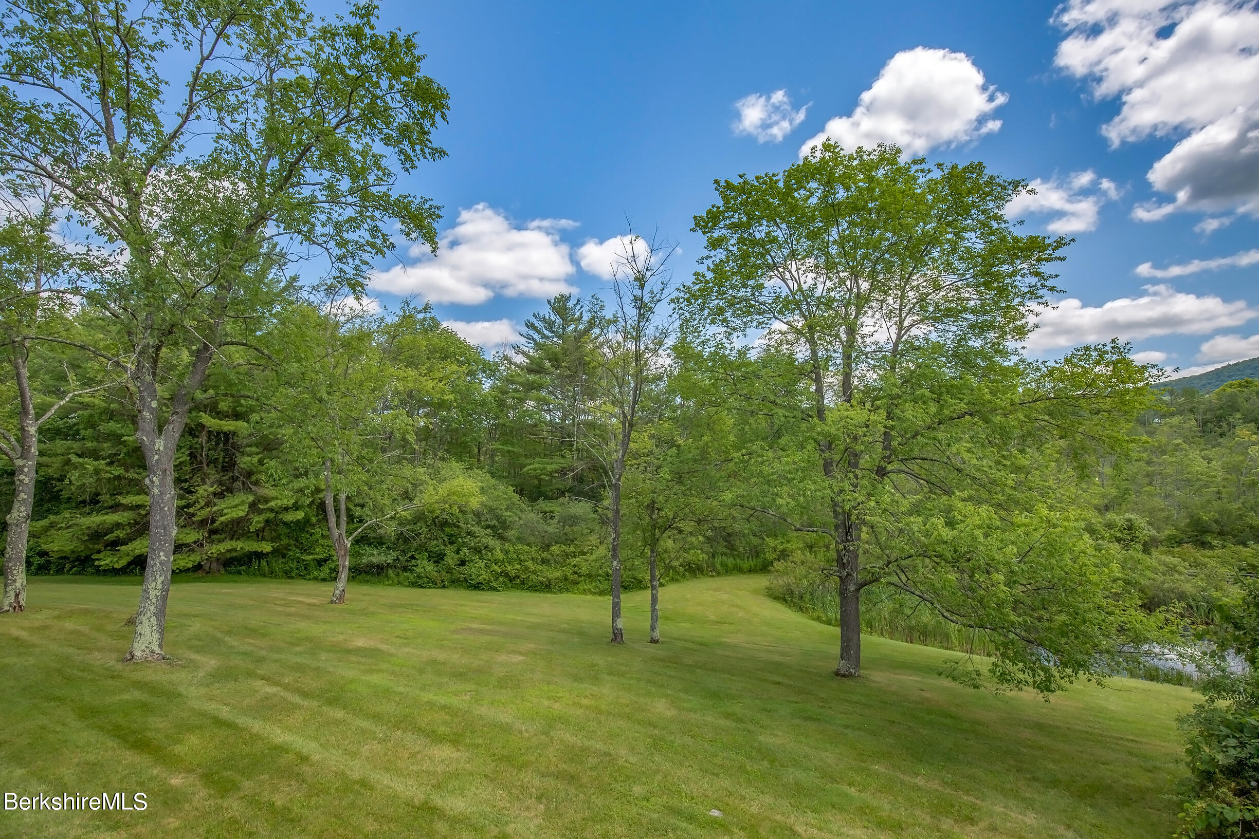 1136 Barker Road, Unit 64 Pittsfield, MA 01201 - Photo 30 of 66 rear yard