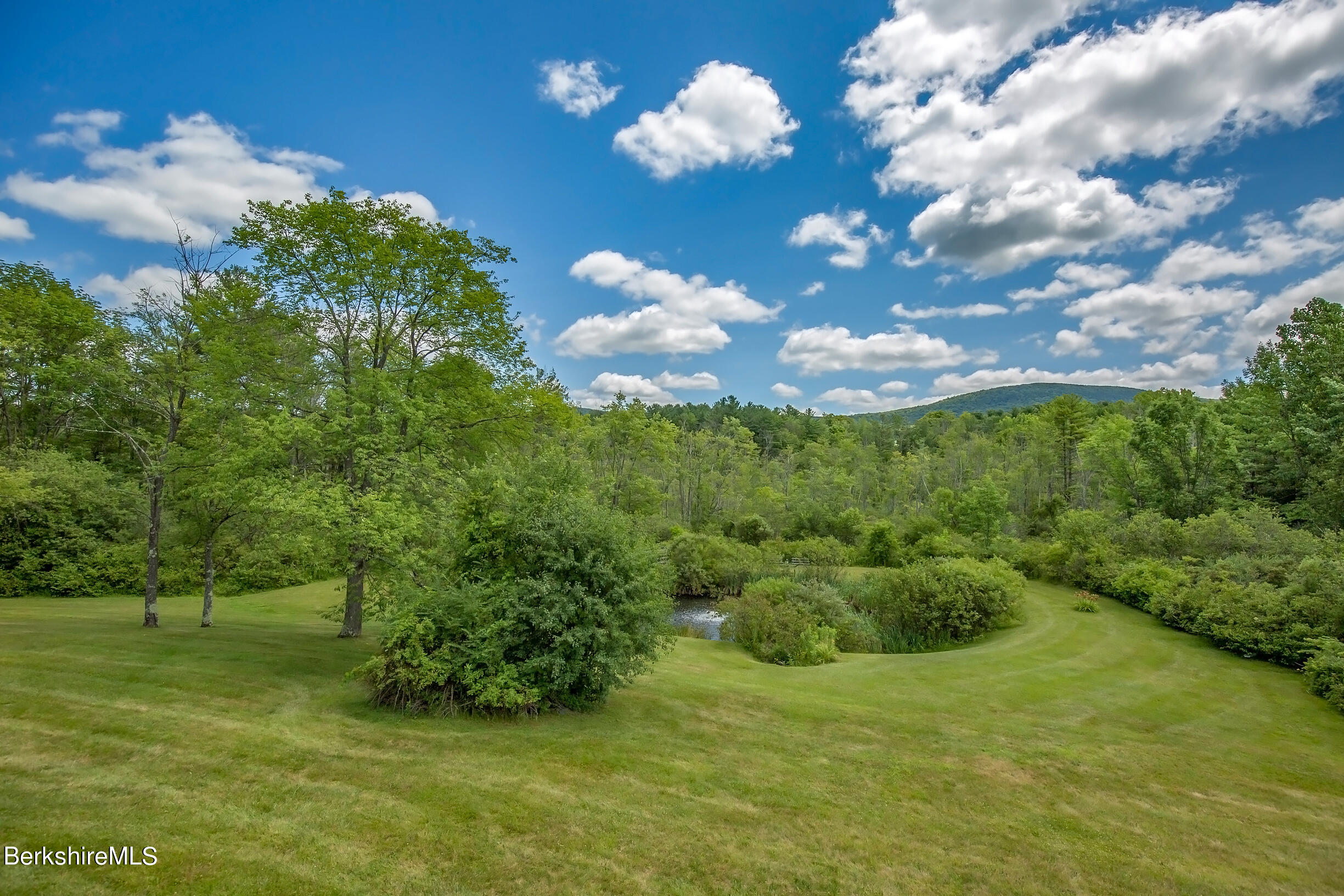 1136 Barker Road, Unit 64 Pittsfield, MA 01201 - Photo 8 of 66 rear yard