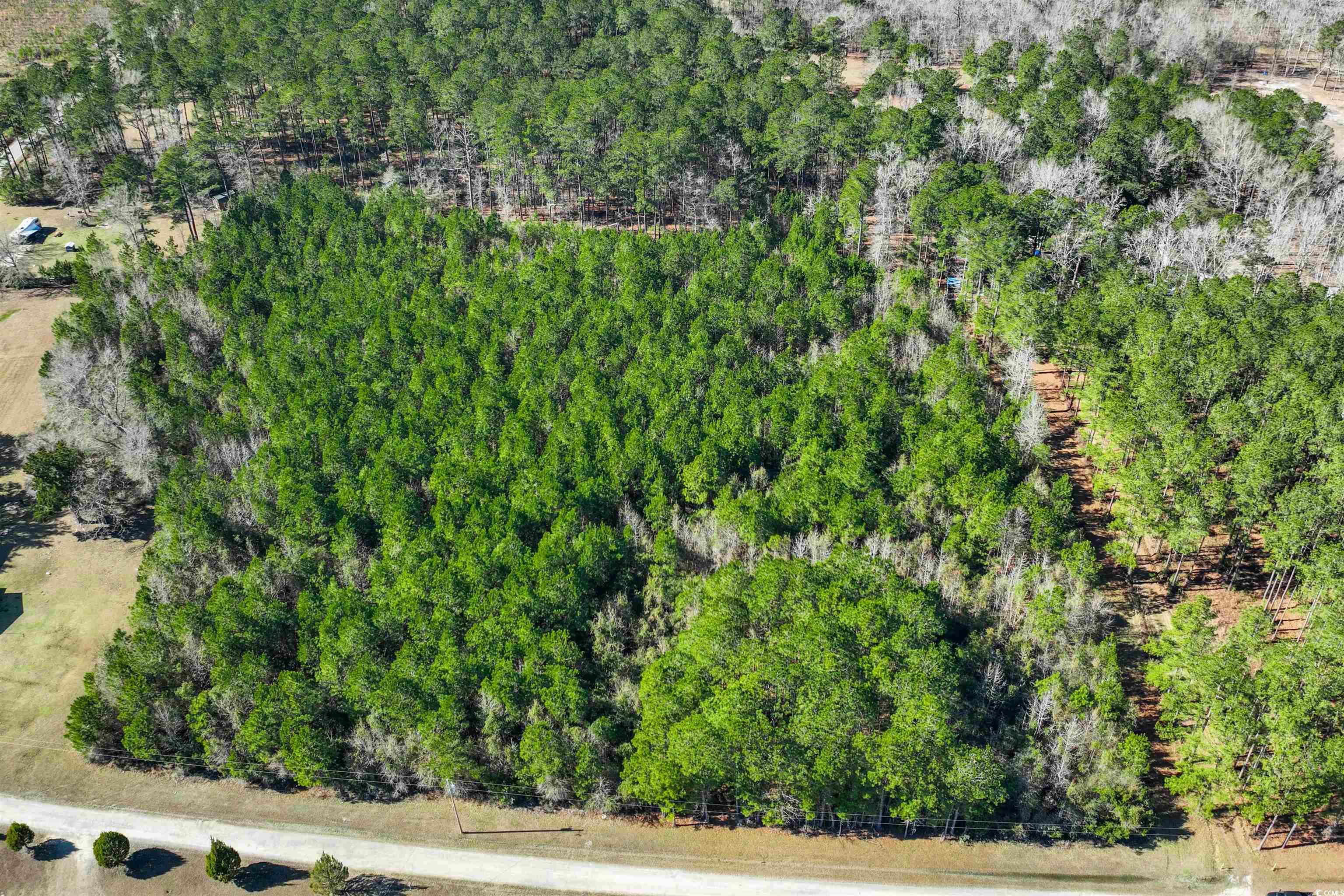 Tbd Rhodus Avenue Andrews, SC 29510 - Photo 1 of 10