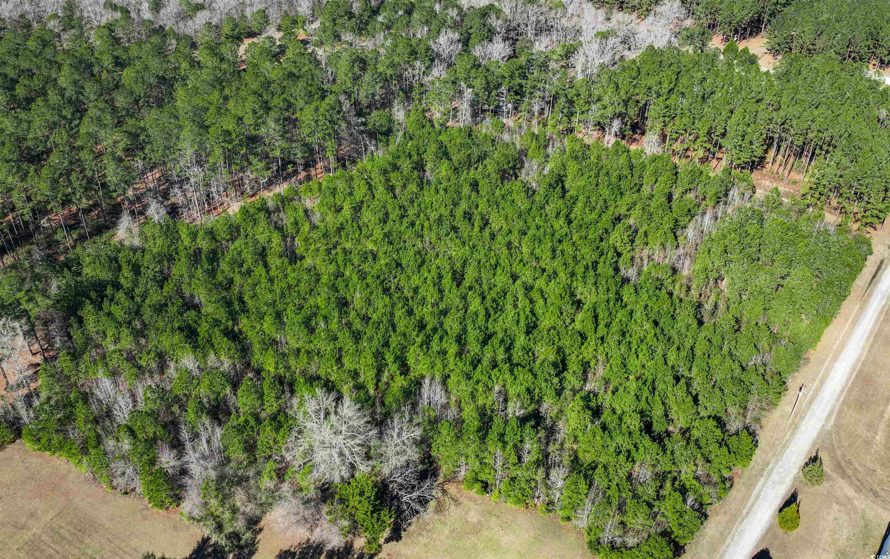 Tbd Rhodus Avenue Andrews, SC 29510 - Photo 2 of 10