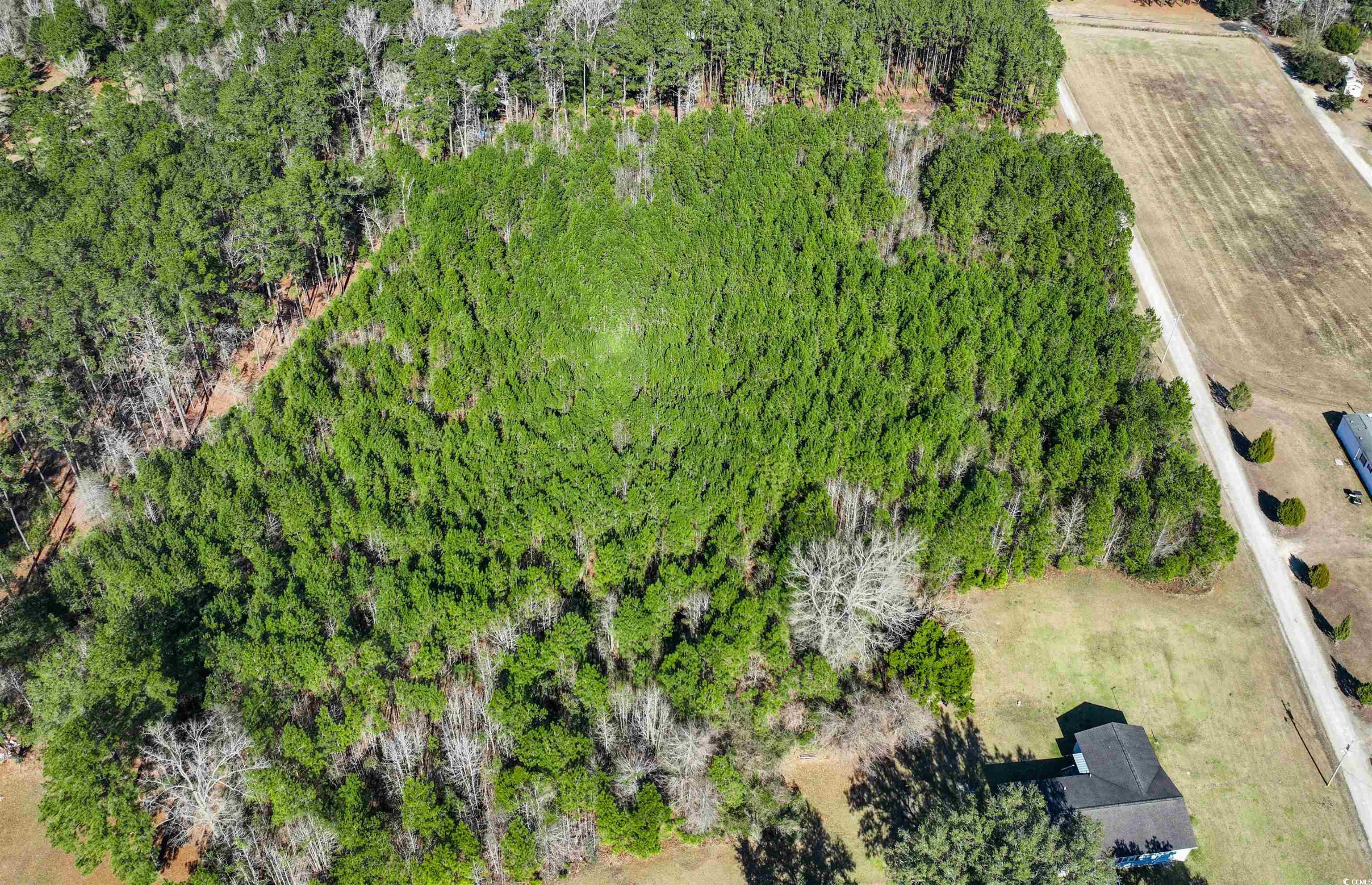 Tbd Rhodus Avenue Andrews, SC 29510 - Photo 3 of 10
