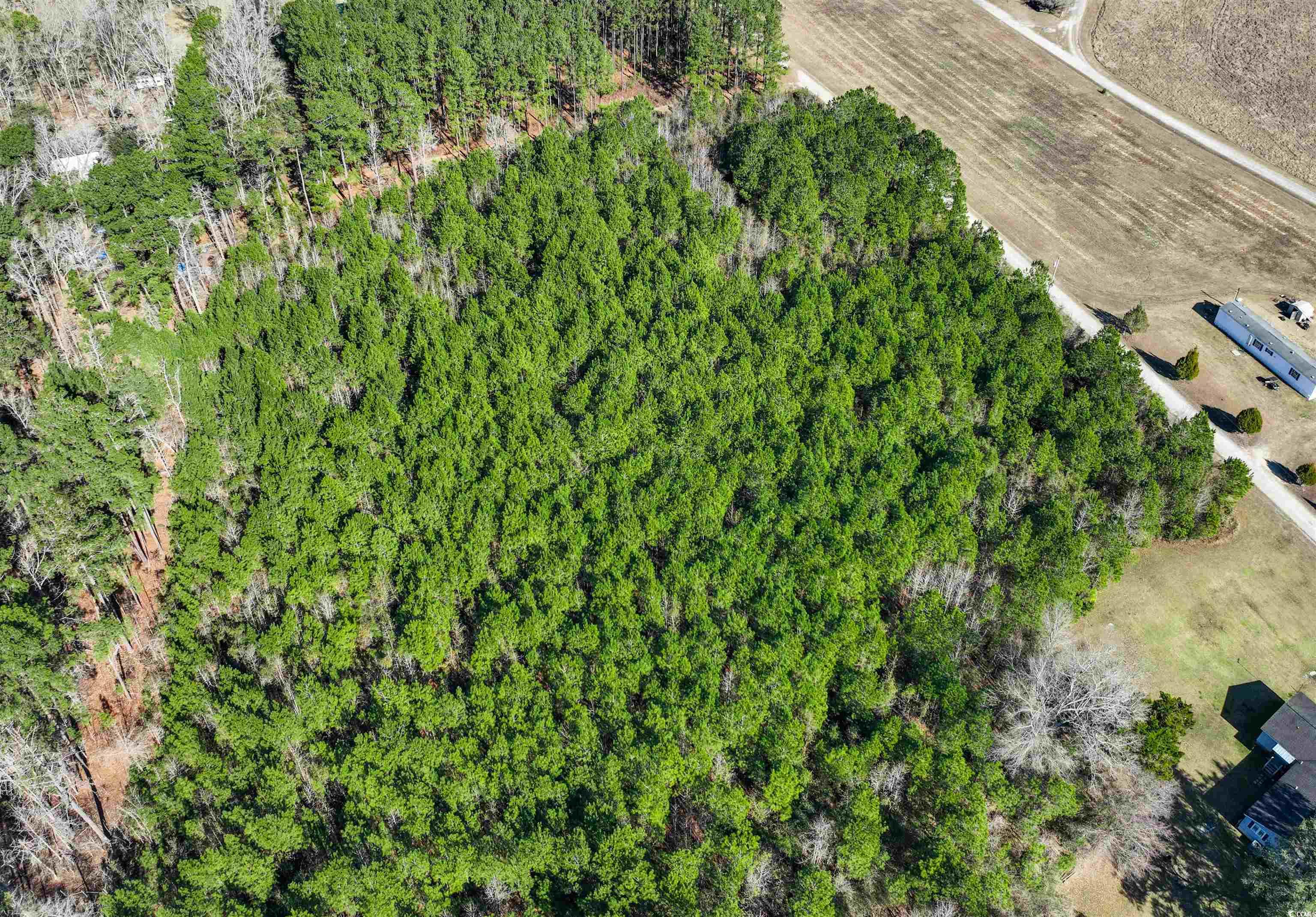 Tbd Rhodus Avenue Andrews, SC 29510 - Photo 4 of 10