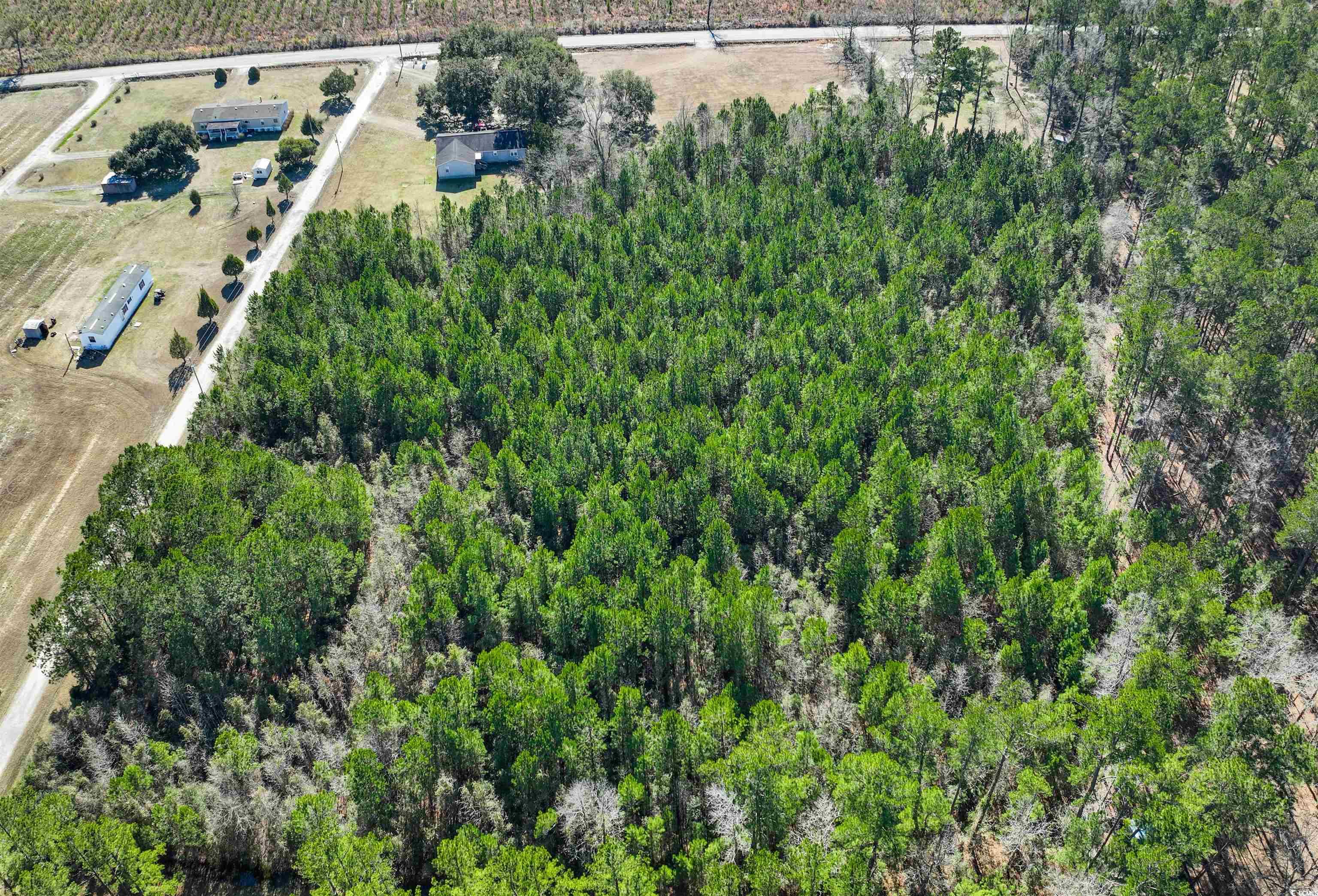 Tbd Rhodus Avenue Andrews, SC 29510 - Photo 5 of 10