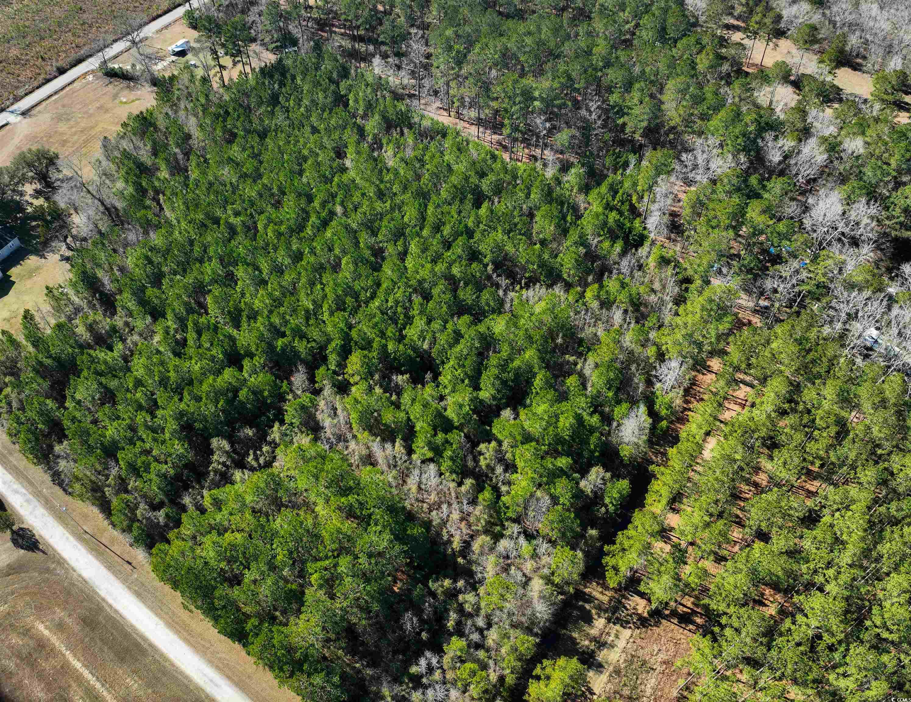 Tbd Rhodus Avenue Andrews, SC 29510 - Photo 6 of 10