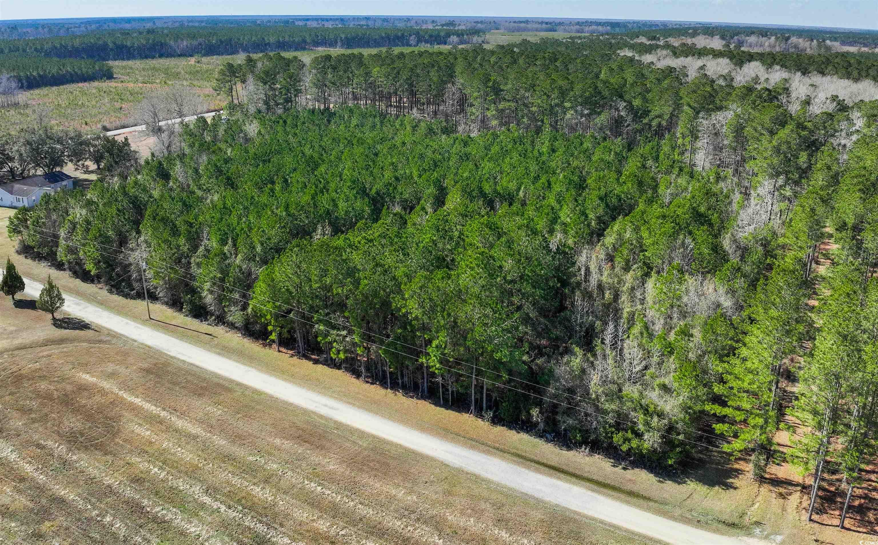 Tbd Rhodus Avenue Andrews, SC 29510 - Photo 7 of 10