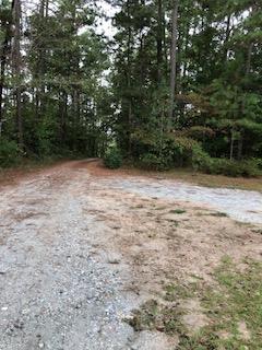 1064 Lee King Road Forsyth, GA 31029 - Photo 8 of 25 a view of empty room with green space