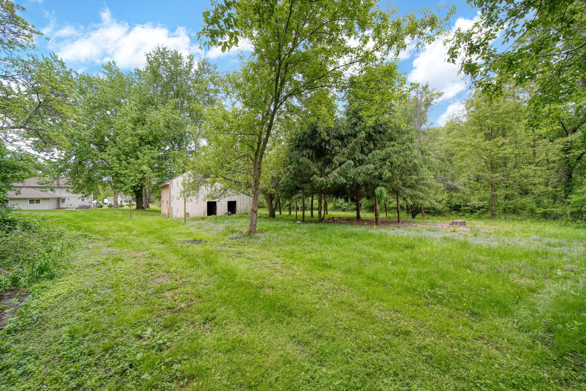 7331 Browns Lake Road Jackson, MI 49201 - Photo 54 of 63 54-web-or-mls-DSC04441_HDR