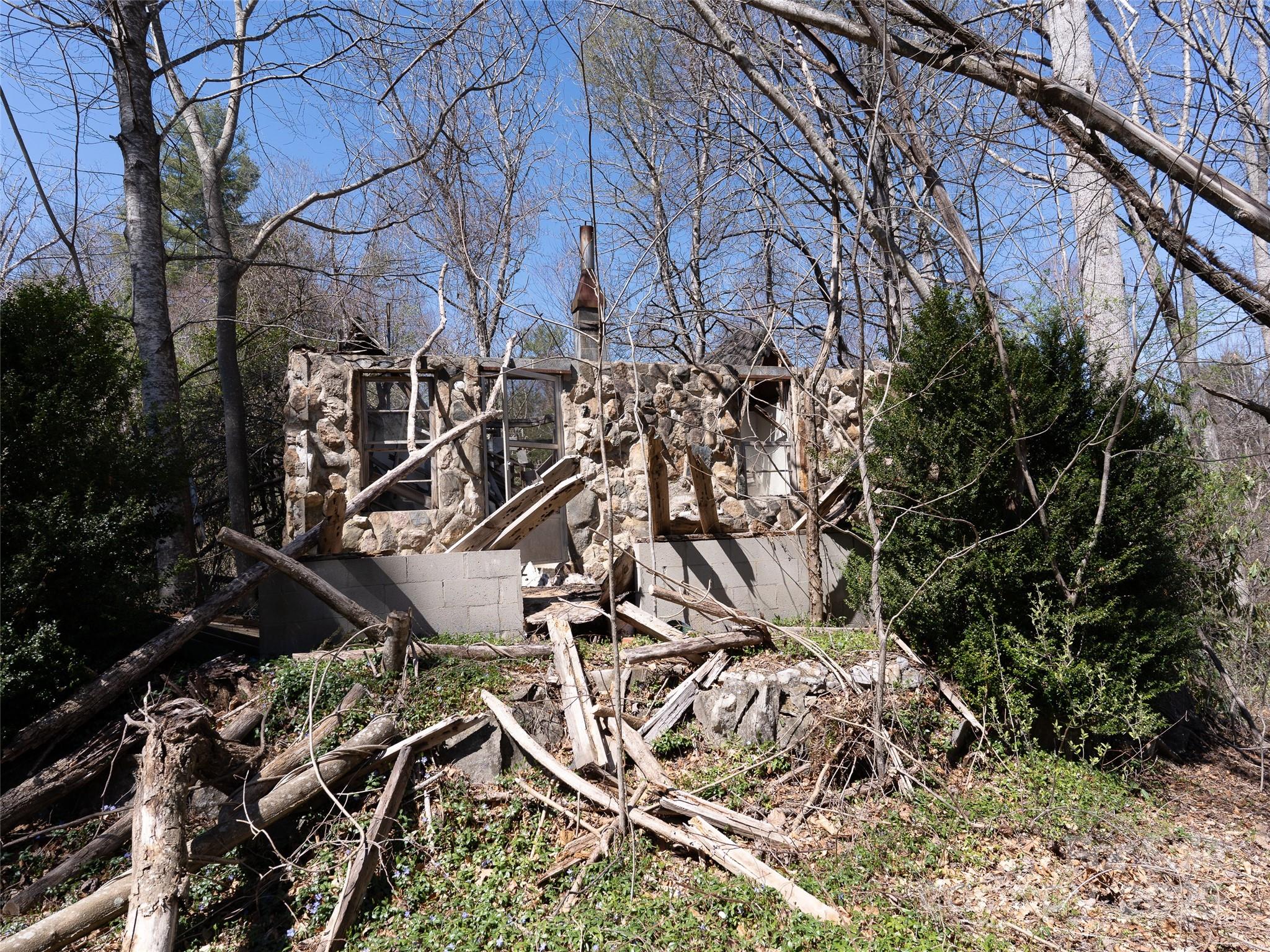 8099 Howard Gap Road Flat Rock, NC 28731 - Photo 15 of 18 a view of a yard with a tree