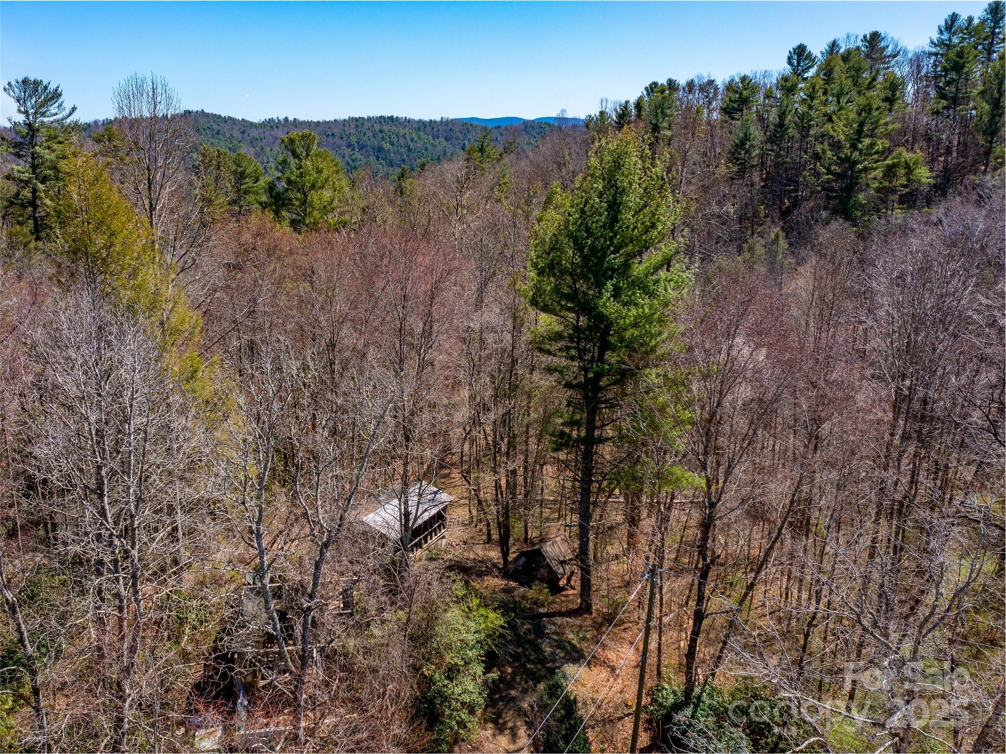 8099 Howard Gap Road Flat Rock, NC 28731 - Photo 18 of 18 a view of a city with lush green forest