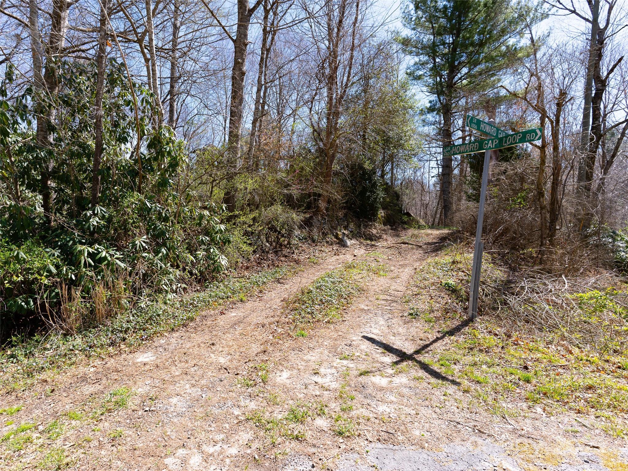 8099 Howard Gap Road Flat Rock, NC 28731 - Photo 3 of 18 a view of a yard with trees