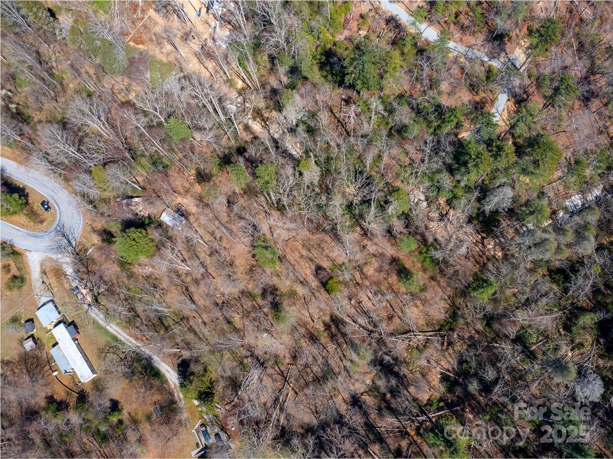 8099 Howard Gap Road Flat Rock, NC 28731 - Photo 7 of 18 a view of a forest with a tree