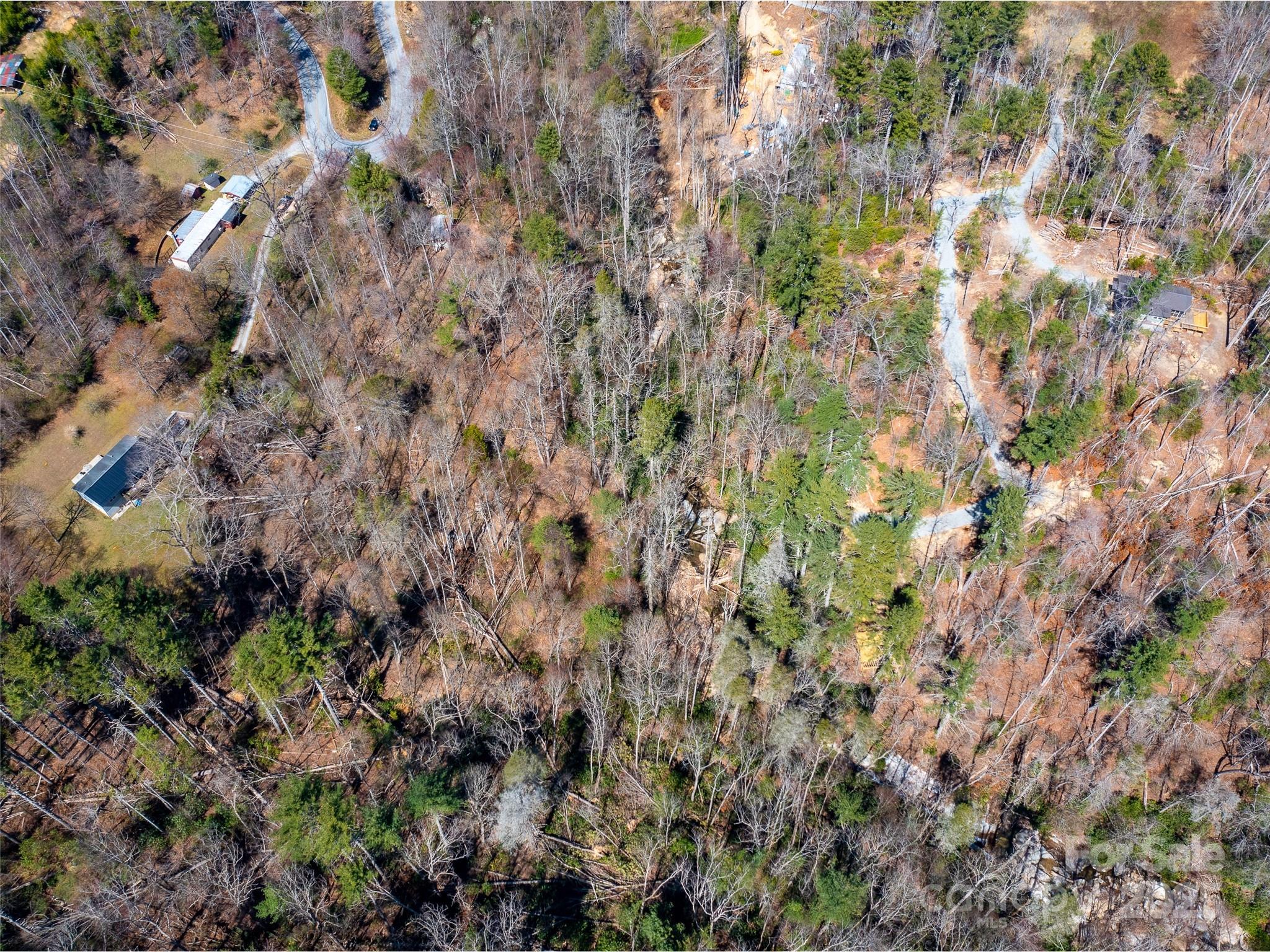 8099 Howard Gap Road Flat Rock, NC 28731 - Photo 9 of 18 a view of a forest