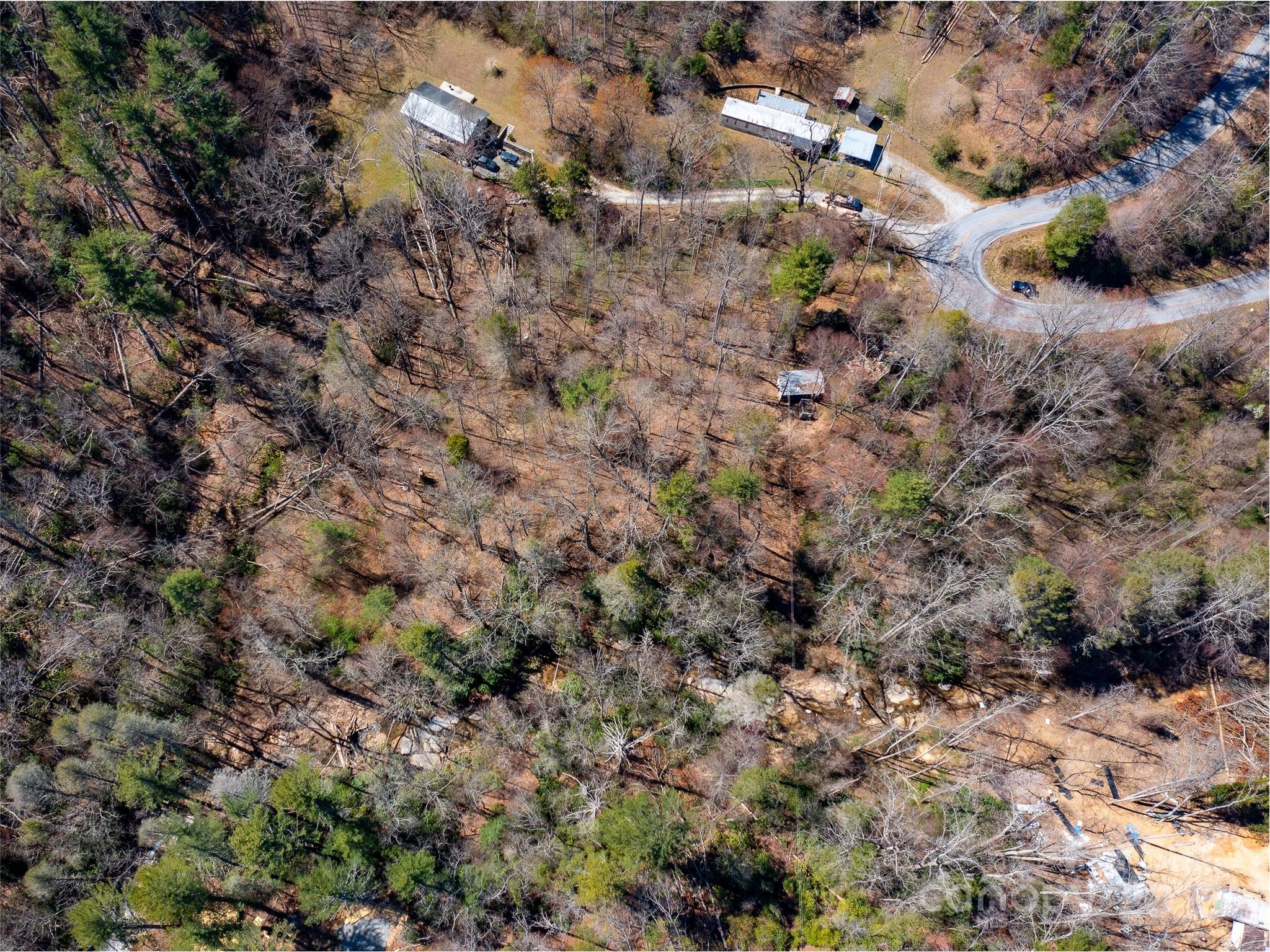 8099 Howard Gap Road Flat Rock, NC 28731 - Photo 10 of 18 a view of a forest with a tree