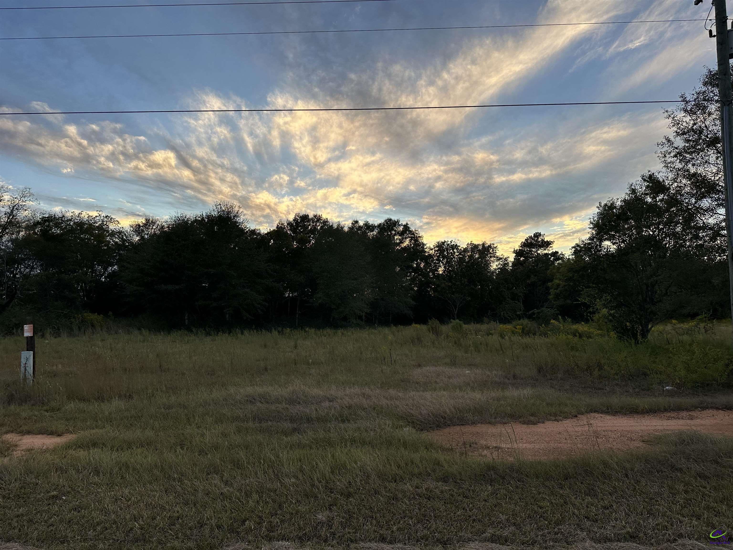 Lot#16 Southwest 5.49 Acres) Elko Road Elko, GA 31025 - Photo 5 of 10