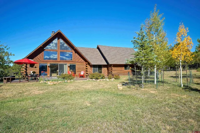 a view of a bunch of trees