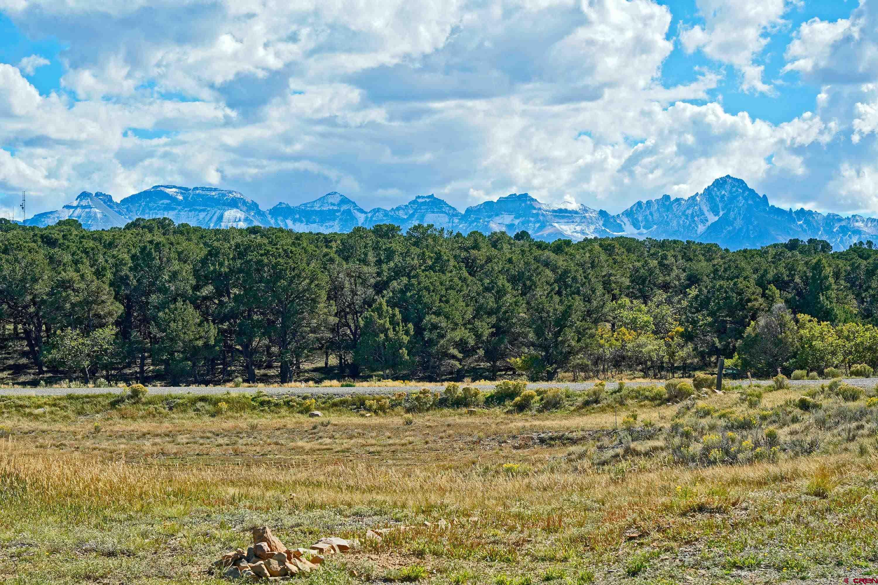 76 Tower Road South Ridgway, CO 81432 - Photo 29 of 37 a view of outdoor space with mountain view