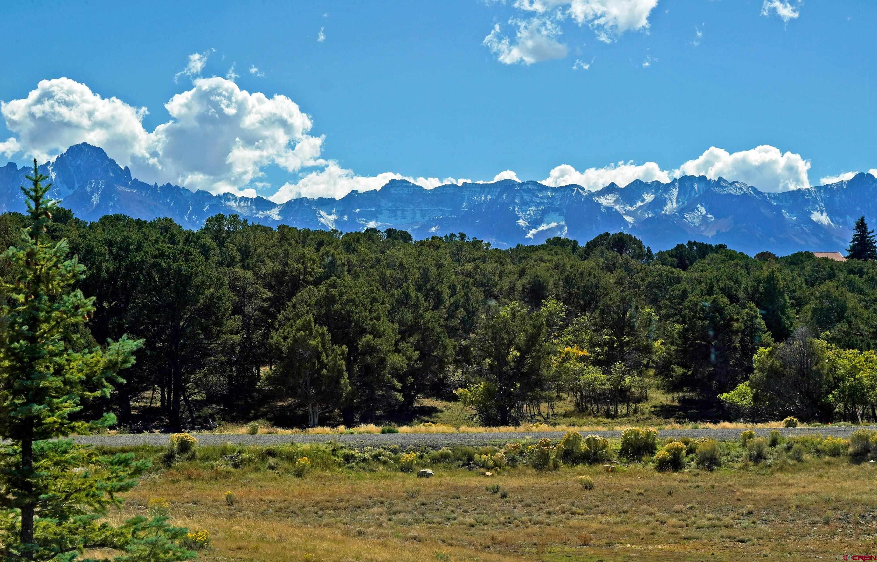 76 Tower Road South Ridgway, CO 81432 - Photo 3 of 37 a view of a house with a pool a yard and a lake