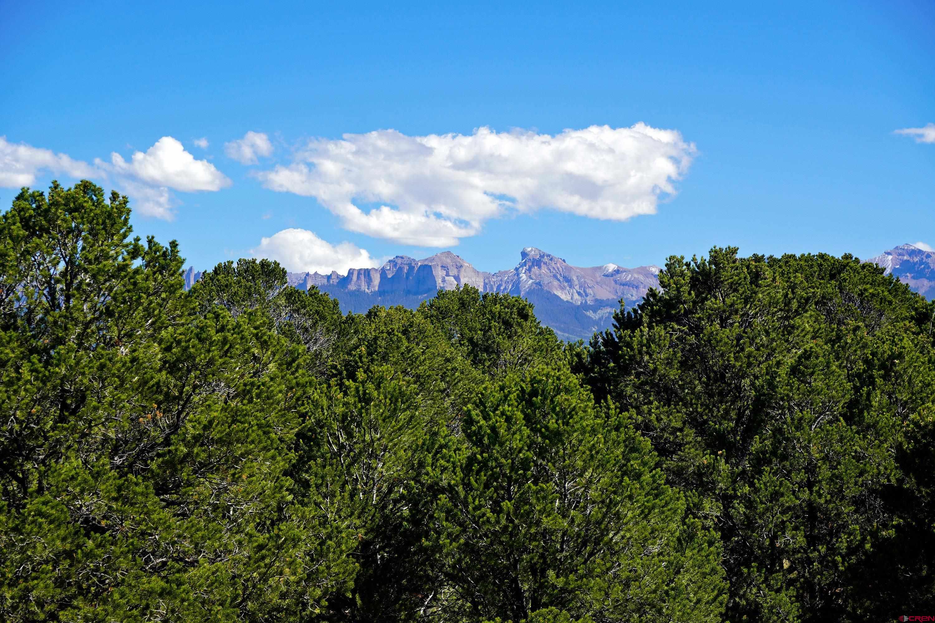 76 Tower Road South Ridgway, CO 81432 - Photo 31 of 37 a view of a bunch of trees