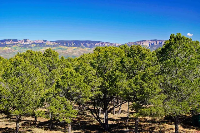 $825,000 | 76 Tower Road South, Ridgway, CO 81432