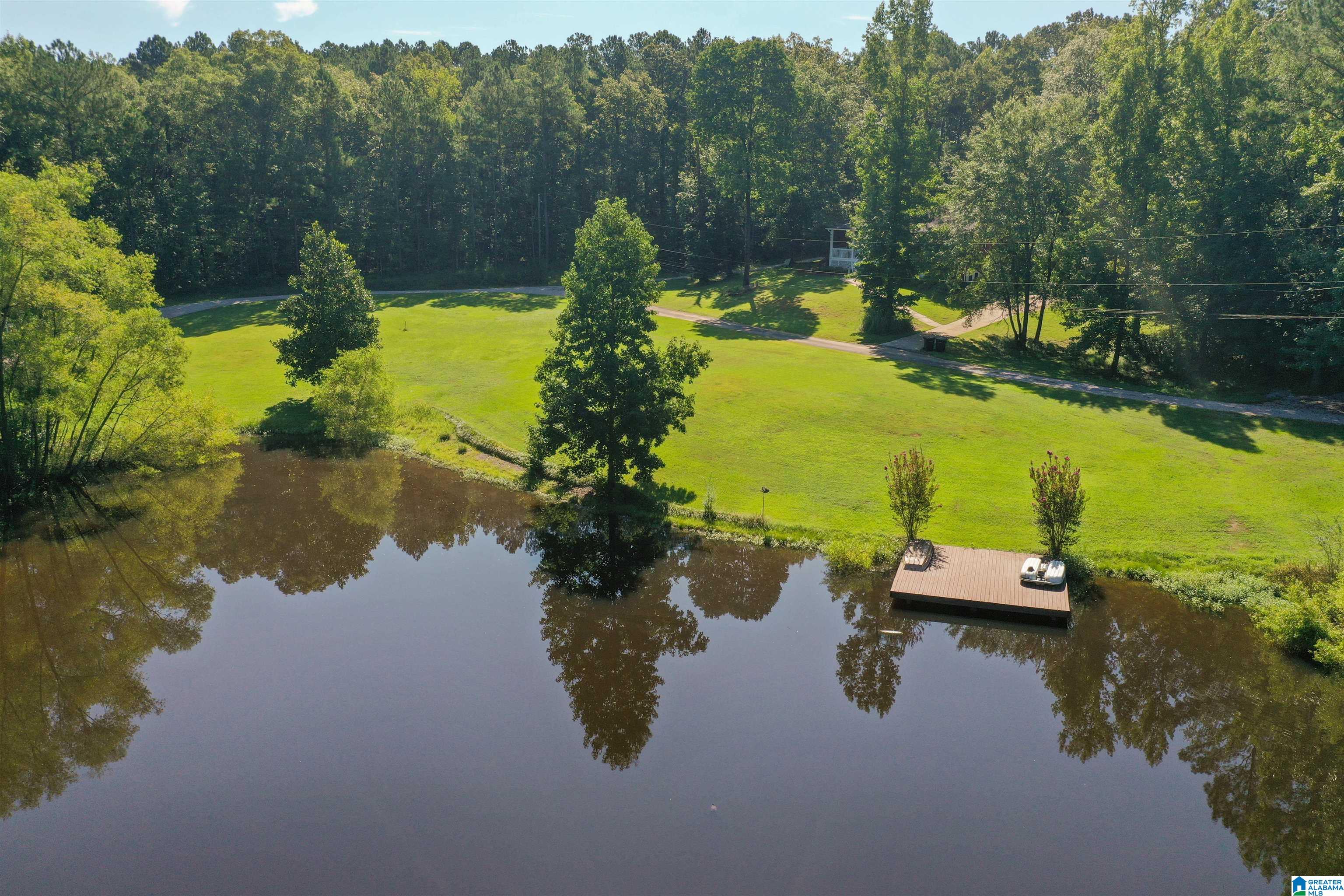 150 Ridgeway Lane Helena, AL 35080 - Photo 10 of 41