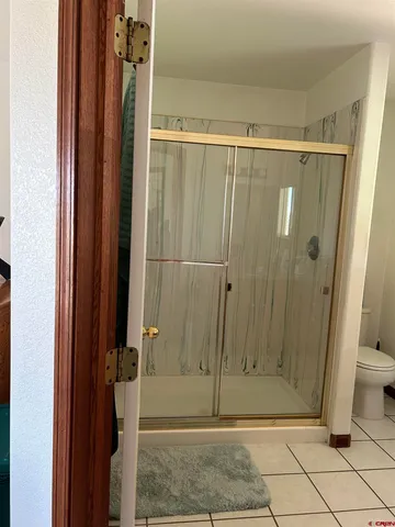 a bathroom with a shower and toilet