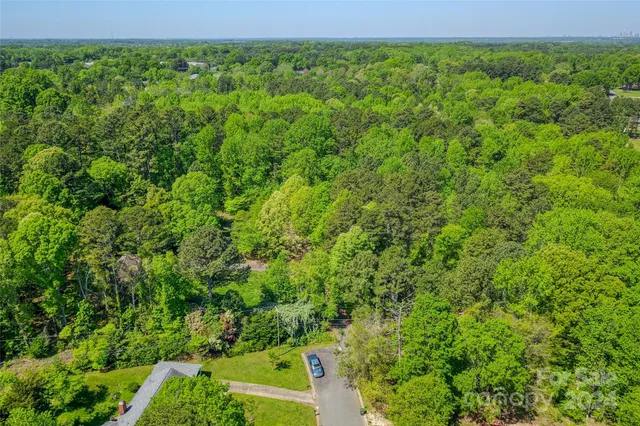 a view of a green field with lots of bushes