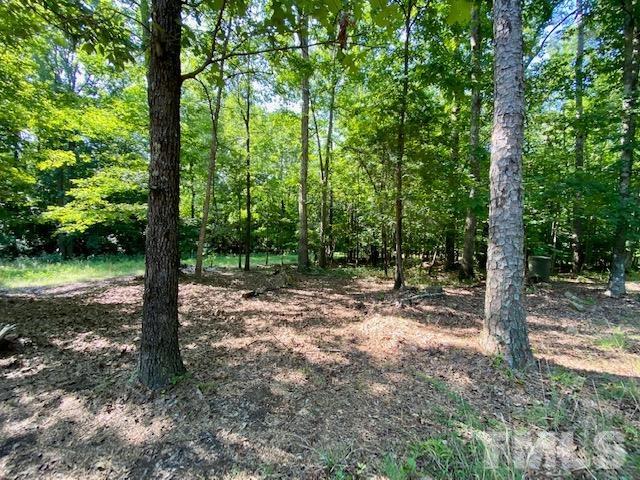 4004 Station Road Hillsborough, NC 27278 - Photo 5 of 42