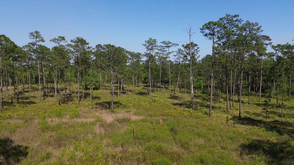 4761 Hadley Ferry Road Cairo, GA 39828 - Photo 17 of 79 Gallery Image 17