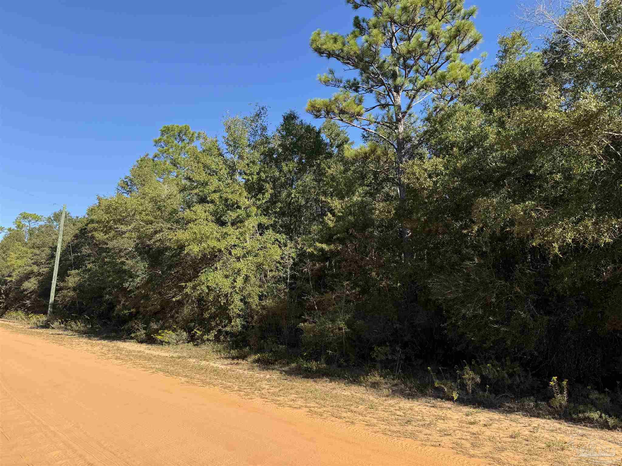 Whiting Acres Lane Milton, FL 32570 - Photo 2 of 3