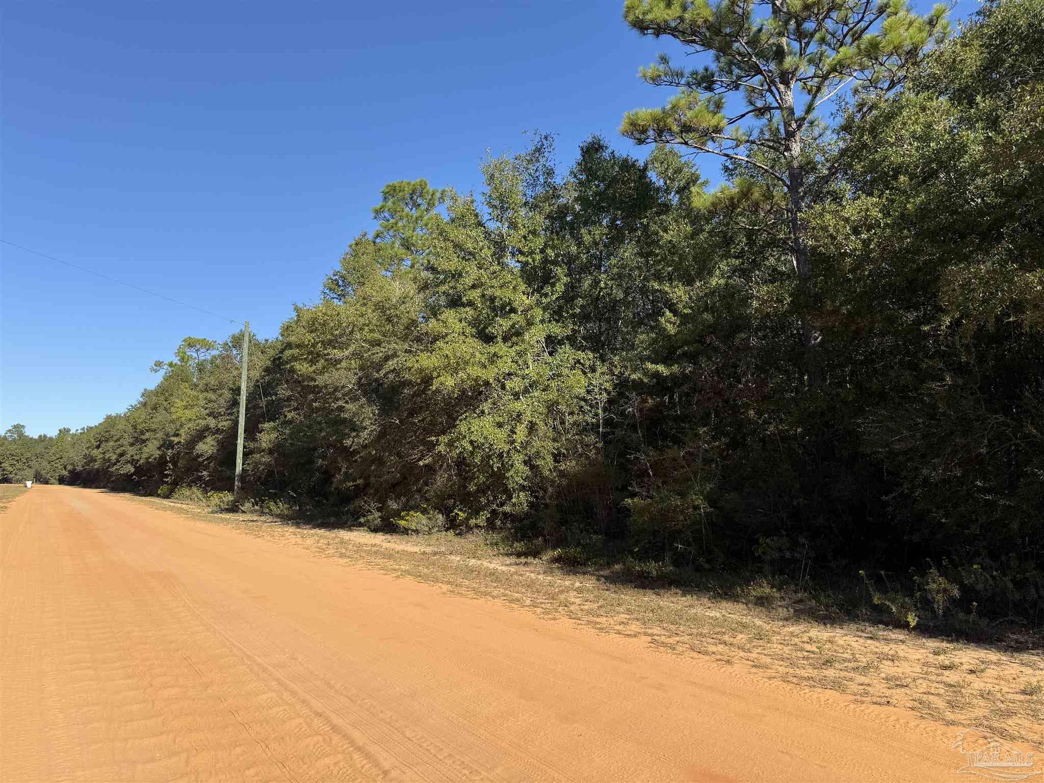 Whiting Acres Lane Milton, FL 32570 - Photo 3 of 3