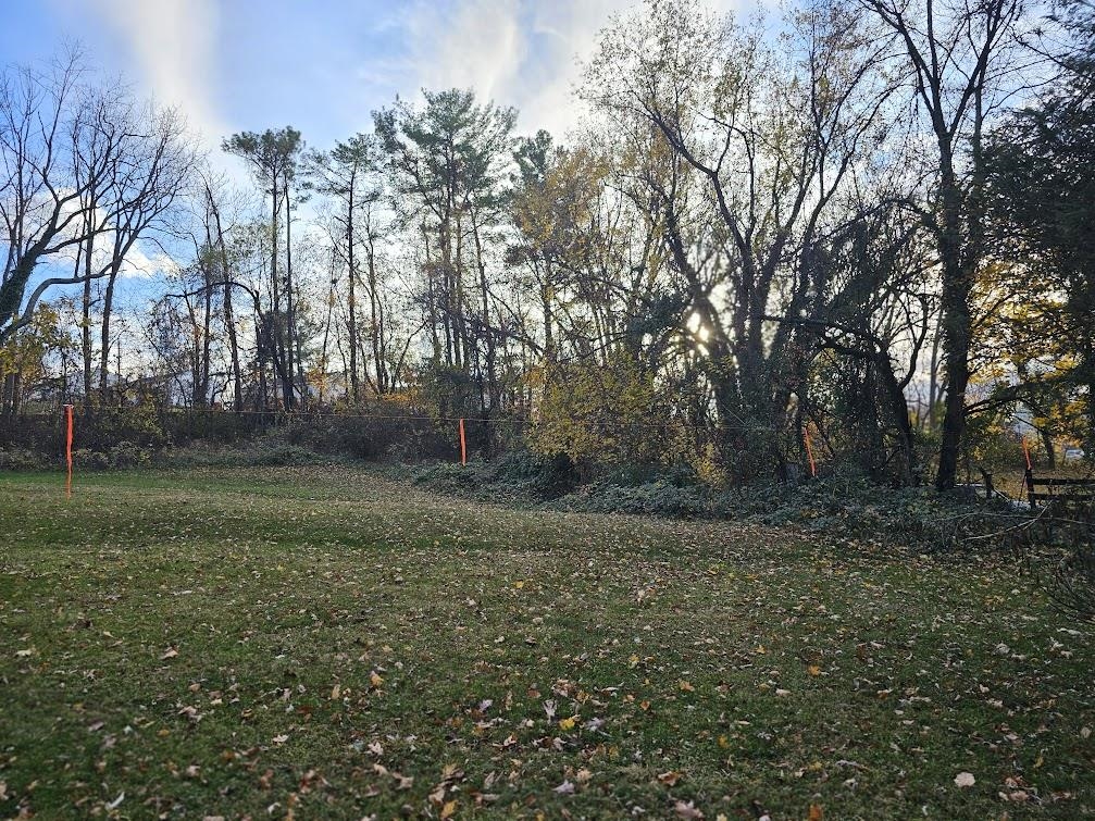 a view of outdoor space with trees