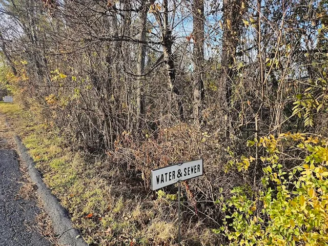 a sign that is sitting in front of a tree