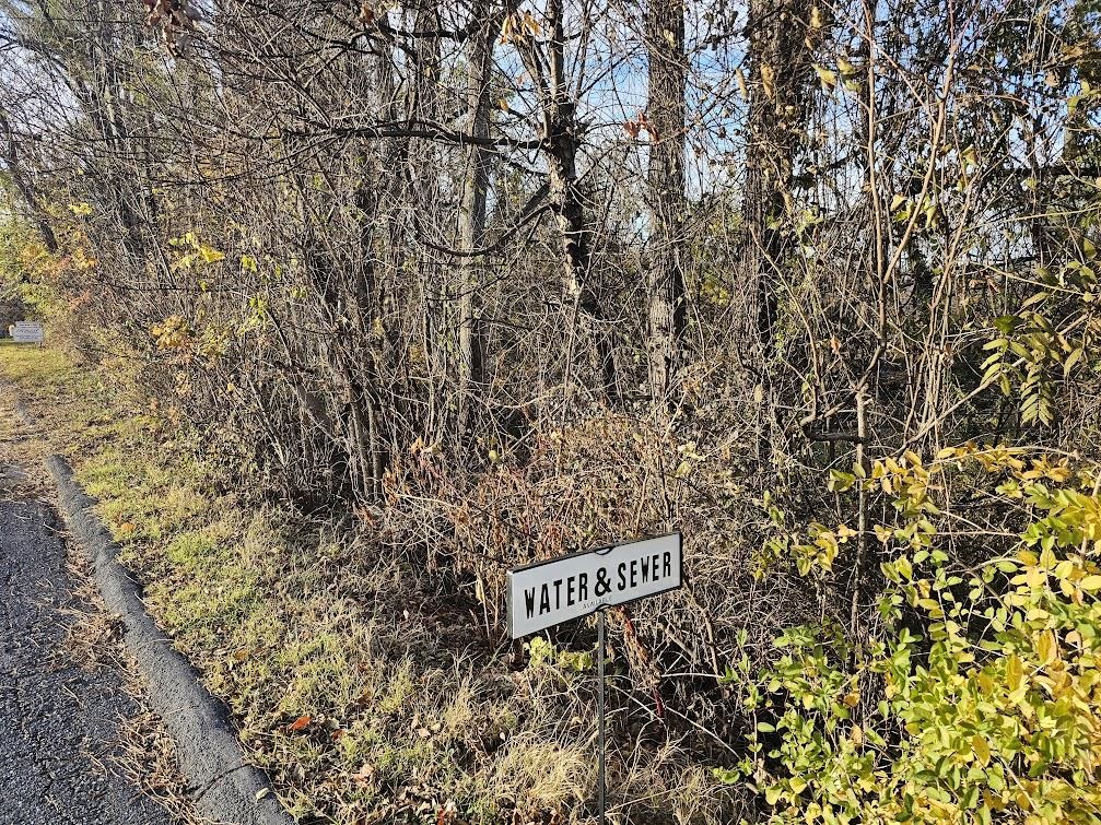 Tbd Commodore Street Staunton, VA 24401 - Photo 2 of 10 a sign that is sitting in front of a tree