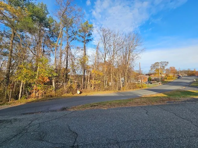 a view of a yard with a tree