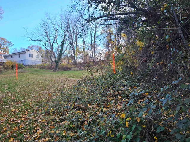 a view of road with large trees