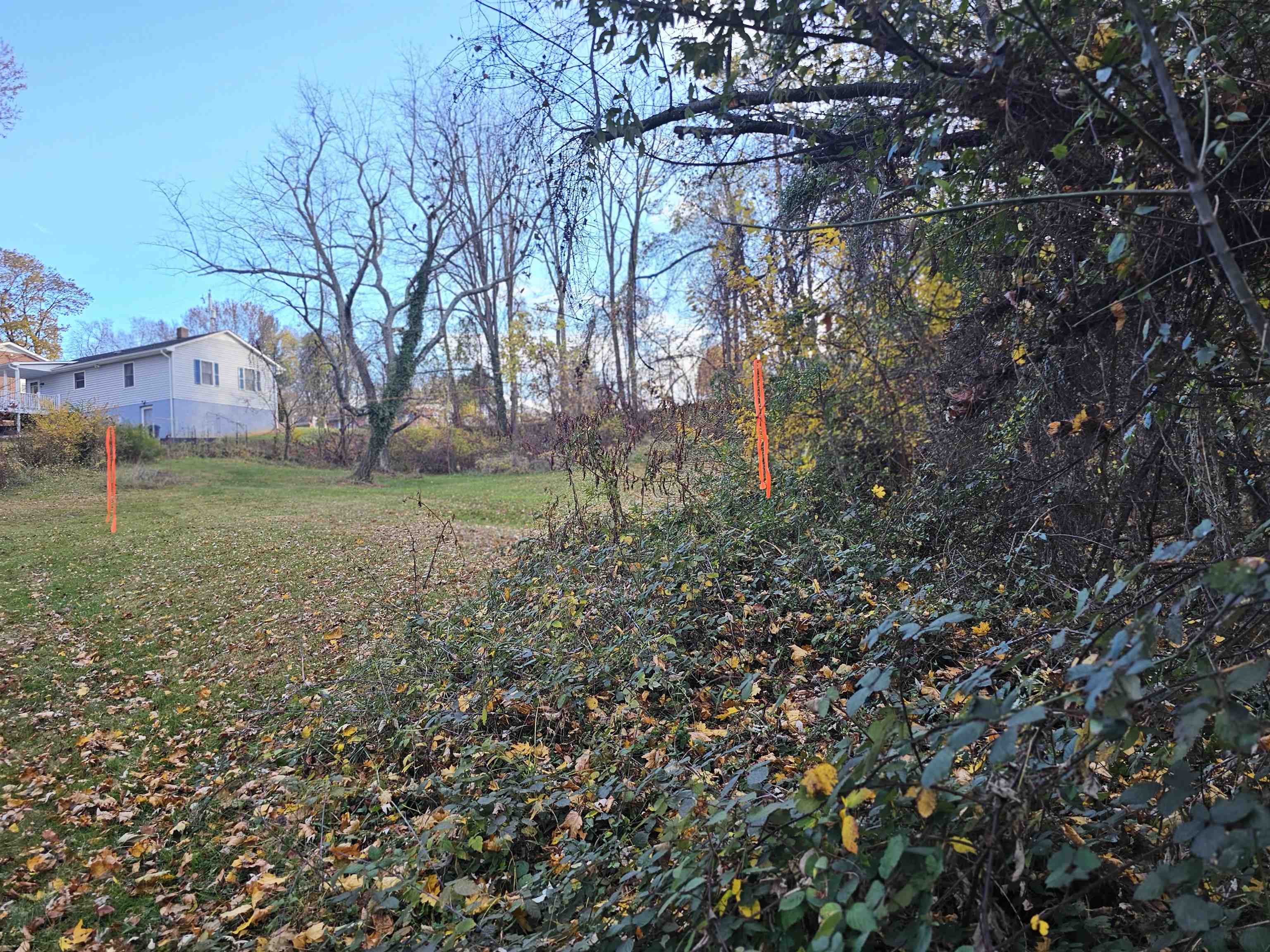 Tbd Commodore Street Staunton, VA 24401 - Photo 7 of 10 a view of a yard with a tree