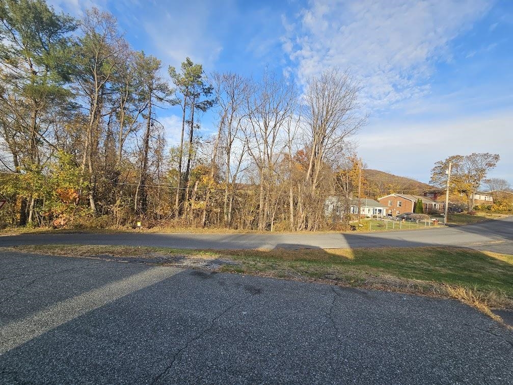 Tbd Commodore Street Staunton, VA 24401 - Photo 10 of 10 a view of road with large trees