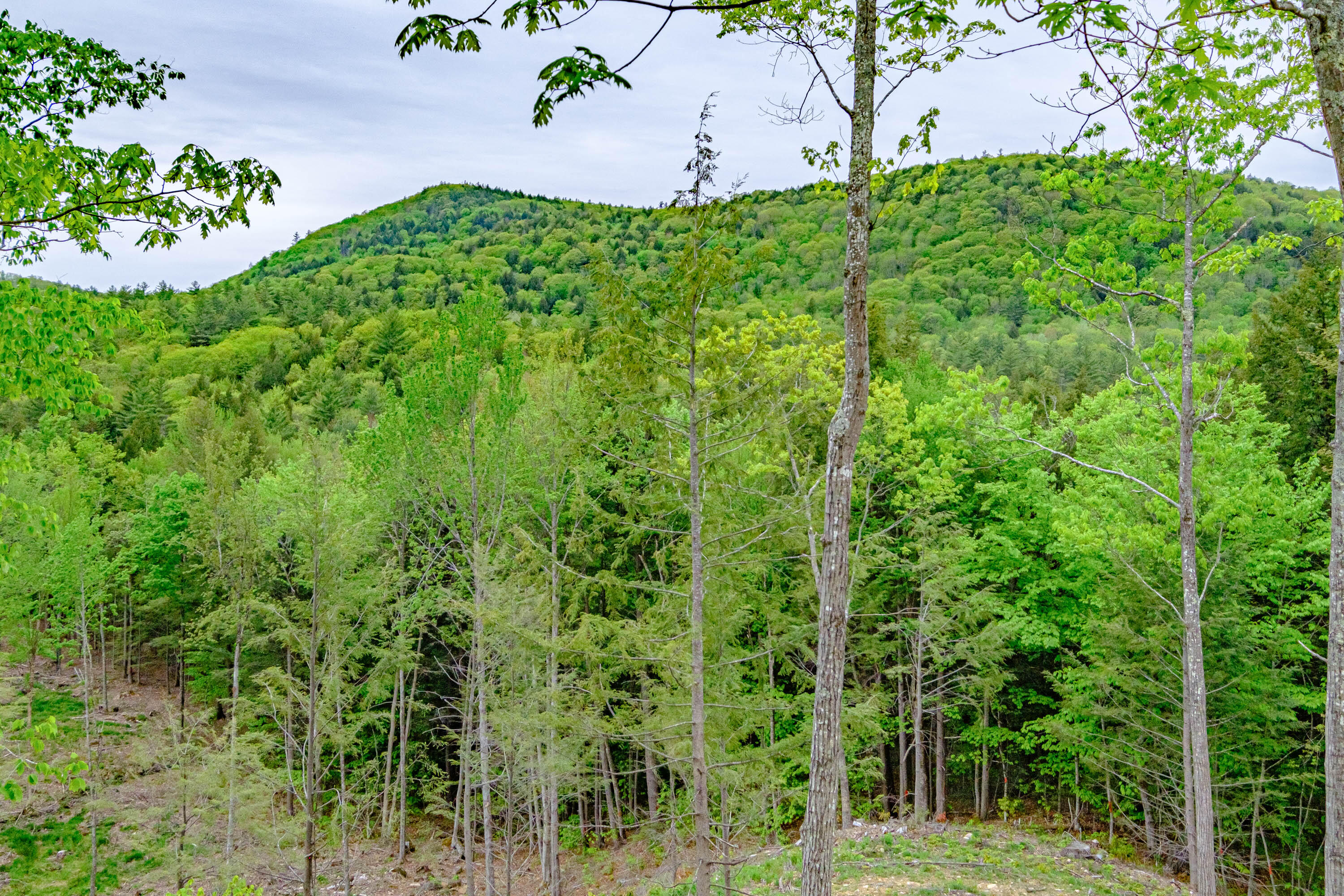 70 Corson Road Parsonsfield, ME 04047 - Photo 75 of 80 20220519gp-60083