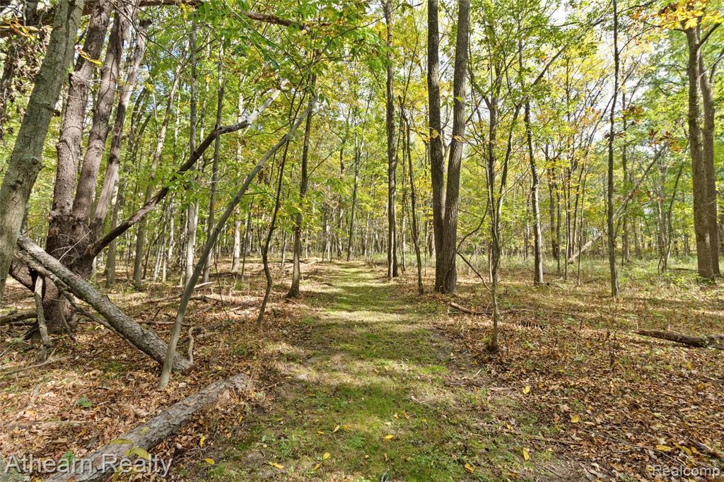 12471 Vernon Road Bancroft, MI 48414 - Photo 28 of 40