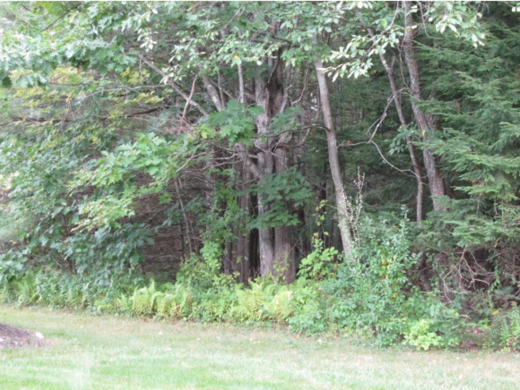 20 Long Hill Road, Unit 20 Peterborough, NH 03458 - Photo 25 of 25