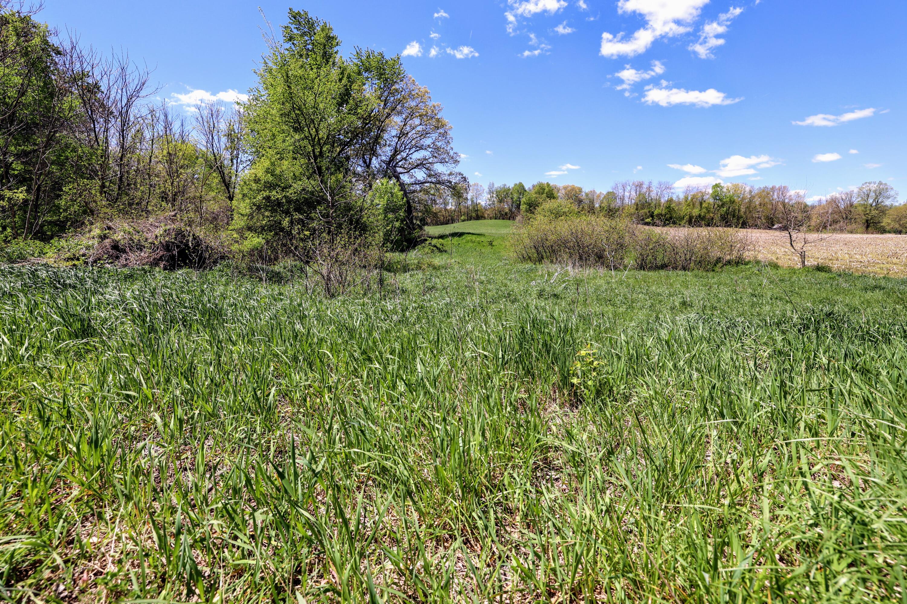 8 1/2 8 1/2 Mile Road Burlington, MI 49029 - Photo 28 of 55 28