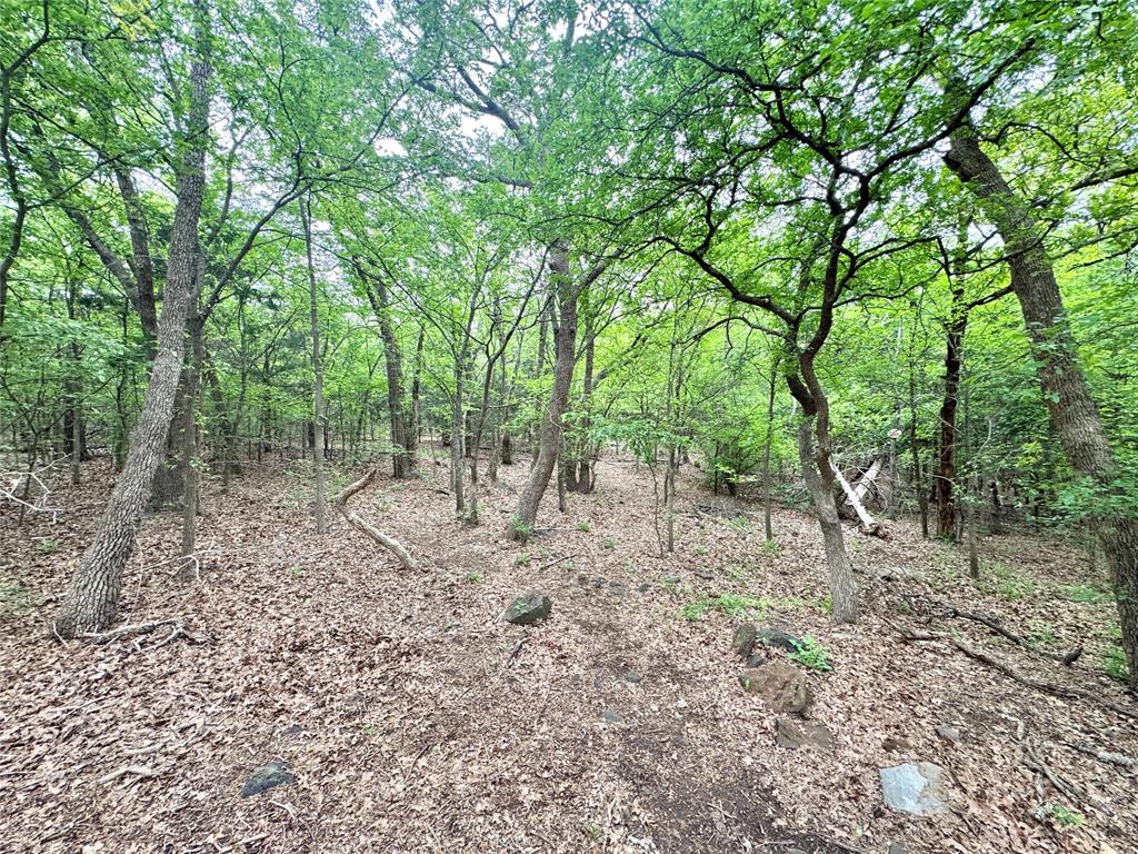 320 Hillside Ln Valley View Valley View, TX 76272 - Photo 22 of 29