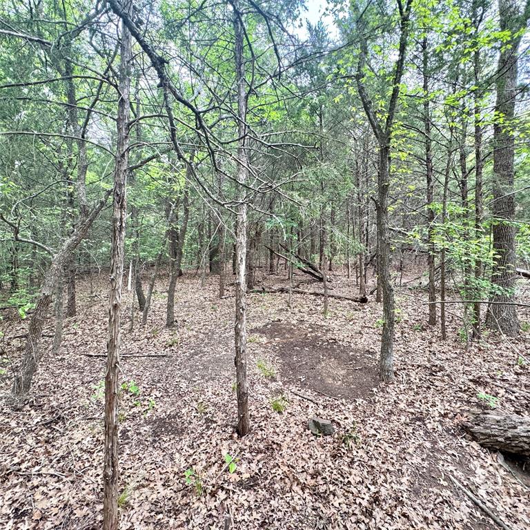 320 Hillside Ln Valley View Valley View, TX 76272 - Photo 24 of 29